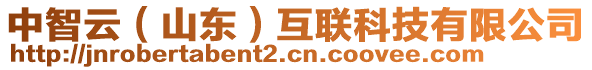 中智云（山東）互聯(lián)科技有限公司