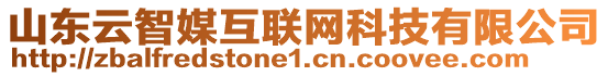 山東云智媒互聯(lián)網(wǎng)科技有限公司