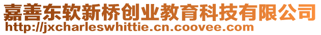 嘉善東軟新橋創(chuàng)業(yè)教育科技有限公司