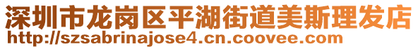 深圳市龍崗區(qū)平湖街道美斯理發(fā)店