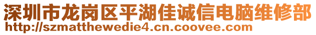 深圳市龍崗區(qū)平湖佳誠(chéng)信電腦維修部