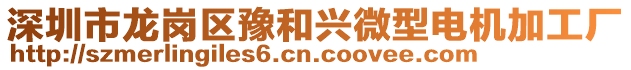 深圳市龍崗區(qū)豫和興微型電機加工廠