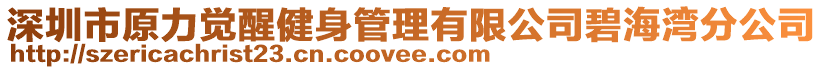 深圳市原力覺醒健身管理有限公司碧海灣分公司