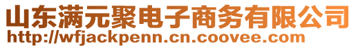 山东满元聚电子商务有限公司