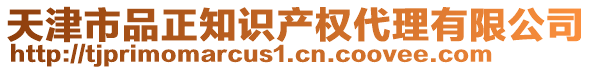 天津市品正知識產(chǎn)權(quán)代理有限公司