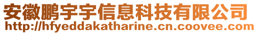 安徽鵬宇宇信息科技有限公司