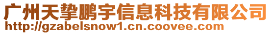 廣州天摯鵬宇信息科技有限公司