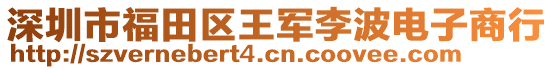 深圳市福田區(qū)王軍李波電子商行