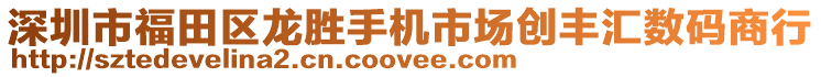 深圳市福田區(qū)龍勝手機(jī)市場創(chuàng)豐匯數(shù)碼商行