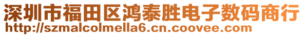 深圳市福田區(qū)鴻泰勝電子數(shù)碼商行