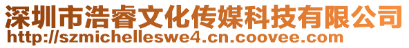 深圳市浩睿文化傳媒科技有限公司