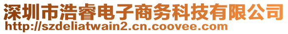 深圳市浩睿電子商務(wù)科技有限公司