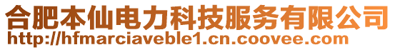 合肥本仙電力科技服務(wù)有限公司