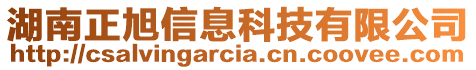 湖南正旭信息科技有限公司