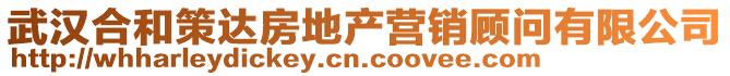 武漢合和策達(dá)房地產(chǎn)營(yíng)銷顧問(wèn)有限公司