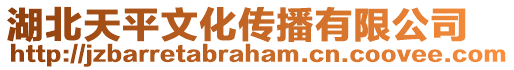 湖北天平文化傳播有限公司