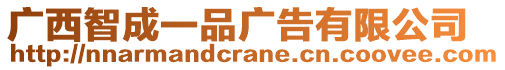 廣西智成一品廣告有限公司