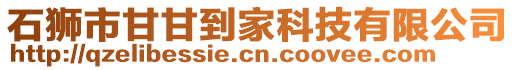 石狮市甘甘到家科技有限公司