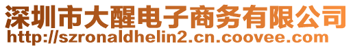 深圳市大醒電子商務(wù)有限公司