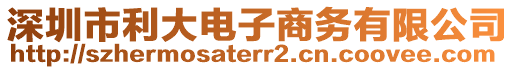 深圳市利大電子商務(wù)有限公司