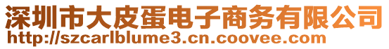 深圳市大皮蛋電子商務(wù)有限公司