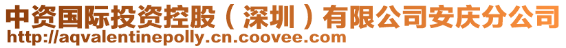 中資國(guó)際投資控股（深圳）有限公司安慶分公司