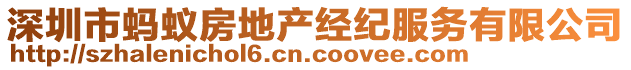 深圳市螞蟻房地產(chǎn)經(jīng)紀服務有限公司