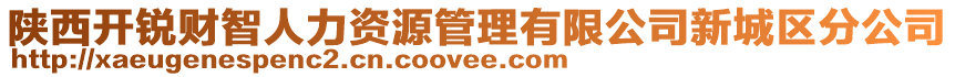 陜西開銳財智人力資源管理有限公司新城區(qū)分公司