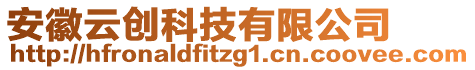 安徽云創(chuàng)科技有限公司