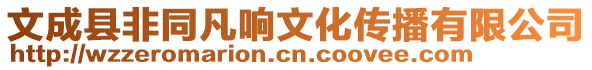 文成縣非同凡響文化傳播有限公司