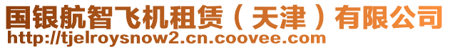 國(guó)銀航智飛機(jī)租賃（天津）有限公司