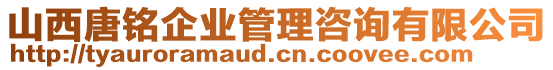 山西唐銘企業(yè)管理咨詢有限公司