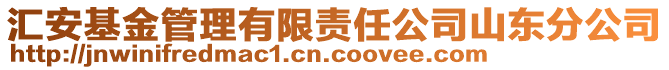 汇安基金管理有限责任公司山东分公司