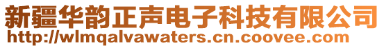 新疆华韵正声电子科技有限公司