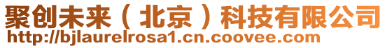 聚創(chuàng)未來（北京）科技有限公司