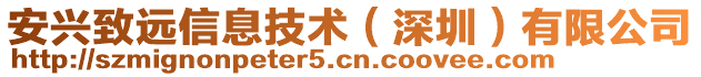 安興致遠(yuǎn)信息技術(shù)（深圳）有限公司