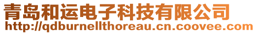 青島和運(yùn)電子科技有限公司