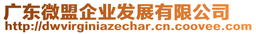 廣東微盟企業(yè)發(fā)展有限公司