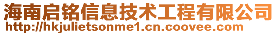 海南啟銘信息技術(shù)工程有限公司