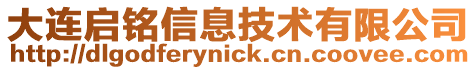 大連啟銘信息技術有限公司