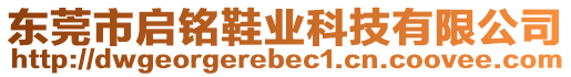 東莞市啟銘鞋業(yè)科技有限公司