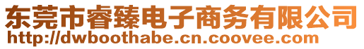 東莞市睿臻電子商務(wù)有限公司