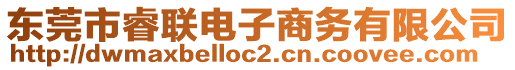 東莞市睿聯(lián)電子商務(wù)有限公司