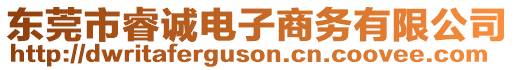 東莞市睿誠電子商務(wù)有限公司