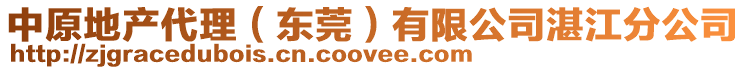 中原地產(chǎn)代理（東莞）有限公司湛江分公司