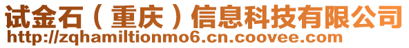 試金石（重慶）信息科技有限公司