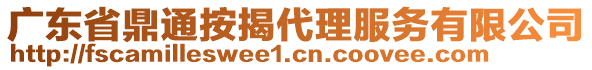 廣東省鼎通按揭代理服務(wù)有限公司