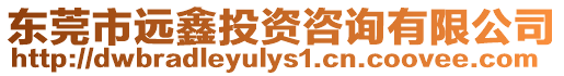 東莞市遠鑫投資咨詢有限公司