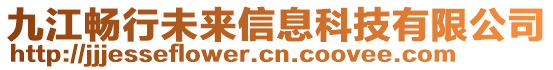 九江暢行未來信息科技有限公司