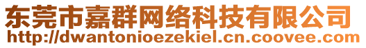 東莞市嘉群網(wǎng)絡(luò)科技有限公司